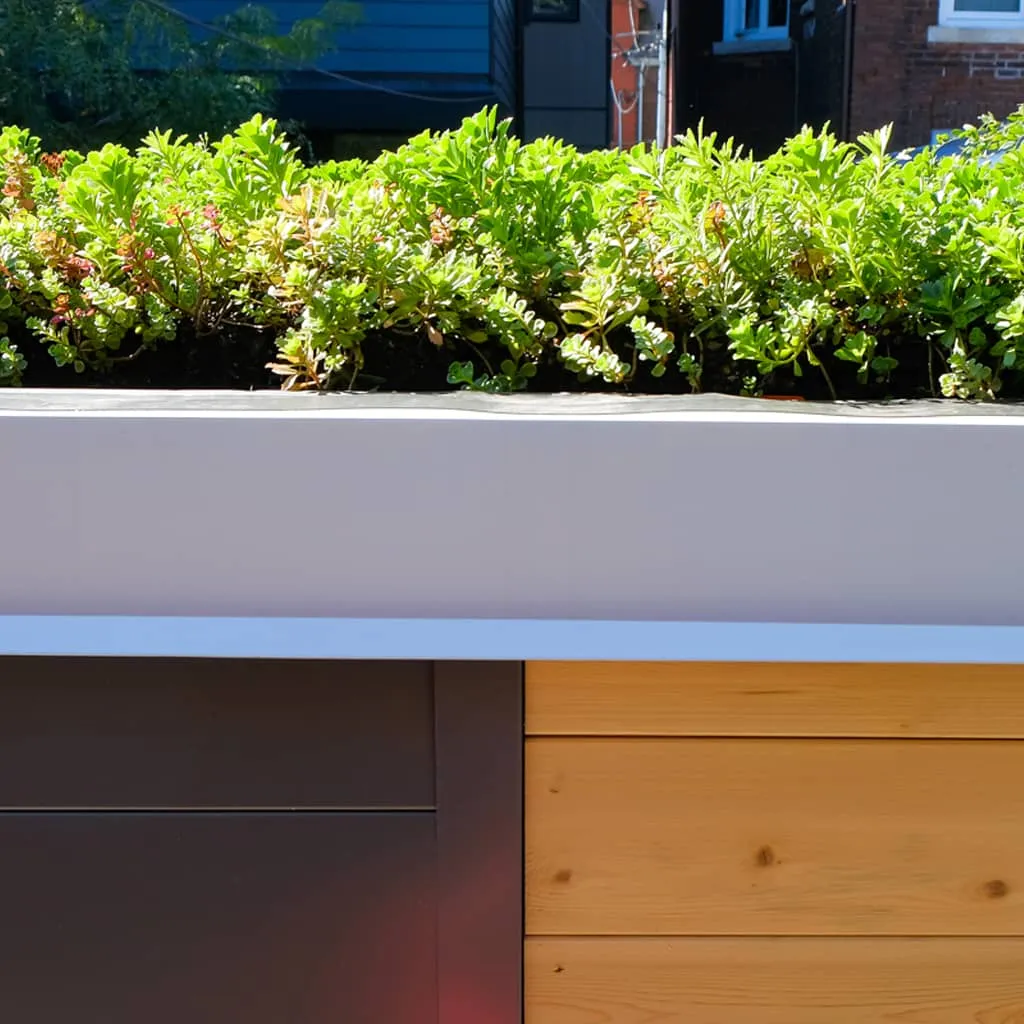 GREEN ROOF SHED thumbnail 2