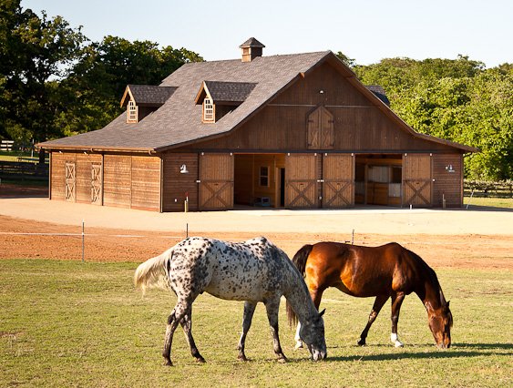 Equestrian 48 ft thumbnail 31