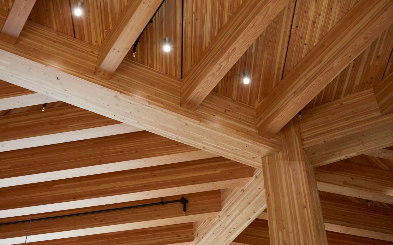 Wellesley College Science Complex Atrium thumbnail 4