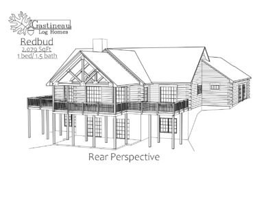 Redbud thumbnail 3
