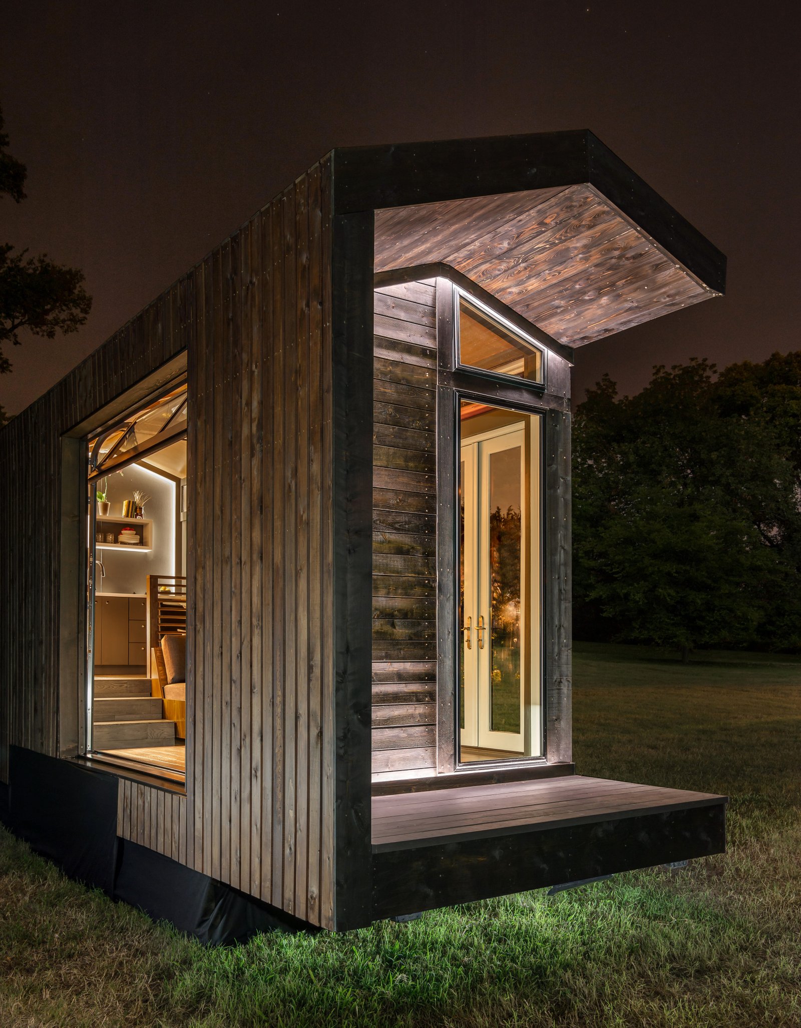 Orchid thumbnail 2